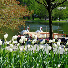 Park